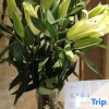 Отель Mercure Hotel Feitian (Lanzhou Railway Station Subway Station), фото 10