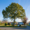 Отель Rangiora Eco Holiday Park, фото 30