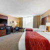 Отель Comfort Inn Memphis Downtown, фото 4