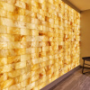 Отель The Whitley, a Luxury Collection Hotel, Atlanta Buckhead, фото 24