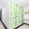 Отель Hostal Parque Real, фото 12