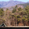 Отель PICA FUJISAIKO - Campsite, фото 13