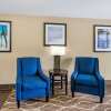 Отель Comfort Inn & Suites St. Pete - Clearwater International Airport, фото 13