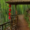 Отель Yibin, Sichuan Bamboo Sea of Emerald Hills, фото 14