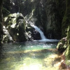 Отель Ebano Verde Waterfall and Ecolodge, фото 10