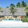 Отель Waldorf Astoria Maldives Ithaafushi Hotel, фото 26