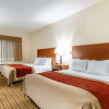 Отель Comfort Inn, фото 13