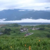 Отель Jiu An Qing Jing Homestay, фото 15