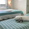 Отель Apartment Costa Blanca Denia Centre El Forti, Right on Beach, фото 15