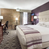 Отель Holiday Inn McAllen – Medical Center Area, an IHG Hotel, фото 6