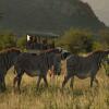 Отель Saruni Samburu, фото 11
