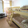 Отель Orion Divers Guest House - Hostel, фото 18