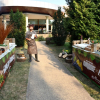 Отель Primasol Ralitsa Superior Garden(f.Ralitsa_SECTOR K), фото 22