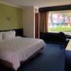 Отель Holiday Inn San Luis Potosi Quijote, фото 5