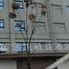 Отель Xiyue Boutique Hotel, фото 8