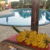 Отель Studio in Piton Saint-leu, With Wonderful sea View, Pool Access, Enclo, фото 7