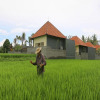 Отель Asri Sari Villa Ubud, фото 14