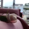 Отель Friendly Homestay - Hostel, фото 45