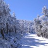 Отель Oca Manzaneda Estación de Montaña, фото 26