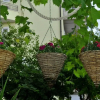 Отель Ivi - big Parking and Courtyard - SA2, фото 12