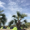 Отель Napak Resort - Campsite в оз. Туркана