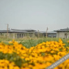 Отель Dunhuang International Hotel, фото 12