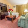 Отель Lemon Tree Hotel & Suites Anaheim, фото 3