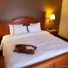Отель Comfort Inn & Suites Rapid City near Mt. Rushmore, фото 8