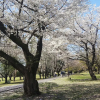 Отель Toyoko Inn Wako-shi Ekimae, фото 20