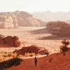 Отель Wadi rum Desert Bedouin Life, фото 19