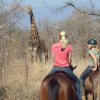 Отель Mafigeni Safari Lodge, фото 21