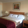 Отель Americas Best Value Inn Oakland Lake Merritt, фото 9