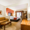 Отель Comfort Suites Prestonsburg West, фото 4