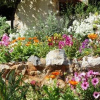 Отель Aparthotel 3 Stars Monemvasia, фото 9