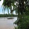 Отель Tambopata River, фото 20