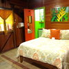 Отель Physis Caribbean Bed & Breakfast, фото 14