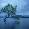Отель Lagoon Cottage, фото 11