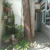 Отель Ji nan International Youth Hostel, фото 8