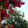 Отель Residenza Antonietta, фото 3