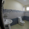 Отель Bodhi Tree Hostel, фото 8