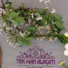 Отель Tek Han Alacati, фото 8