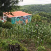 Отель Charming and Affordable Casita in Atami, El Salvador, фото 1