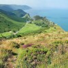 Отель Pet-friendly spacious barn conversion in Exmoor National Park, фото 3