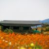 Отель Chiefs - Namaqua Flower Camps, фото 17