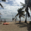 Отель Seashell Beach Resort, фото 26