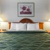 Отель Quality Inn Delta Gateway to Rocky Mountains, фото 6