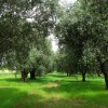 Отель Masseria San Polo, фото 9