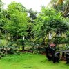 Отель Sigiriya Green Garden Homestay, фото 29