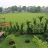 Отель Chitwan Village Resort, фото 30