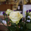 Отель Am Stuttgarter Eck, фото 14